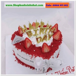 Bánh Sinh Nhật Tiramisu - T346